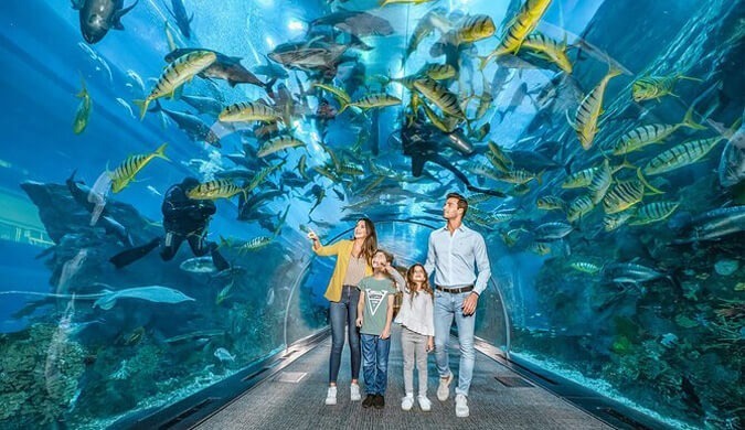 Dubai-Aquarium-Underwater-Zoo-1.jpg