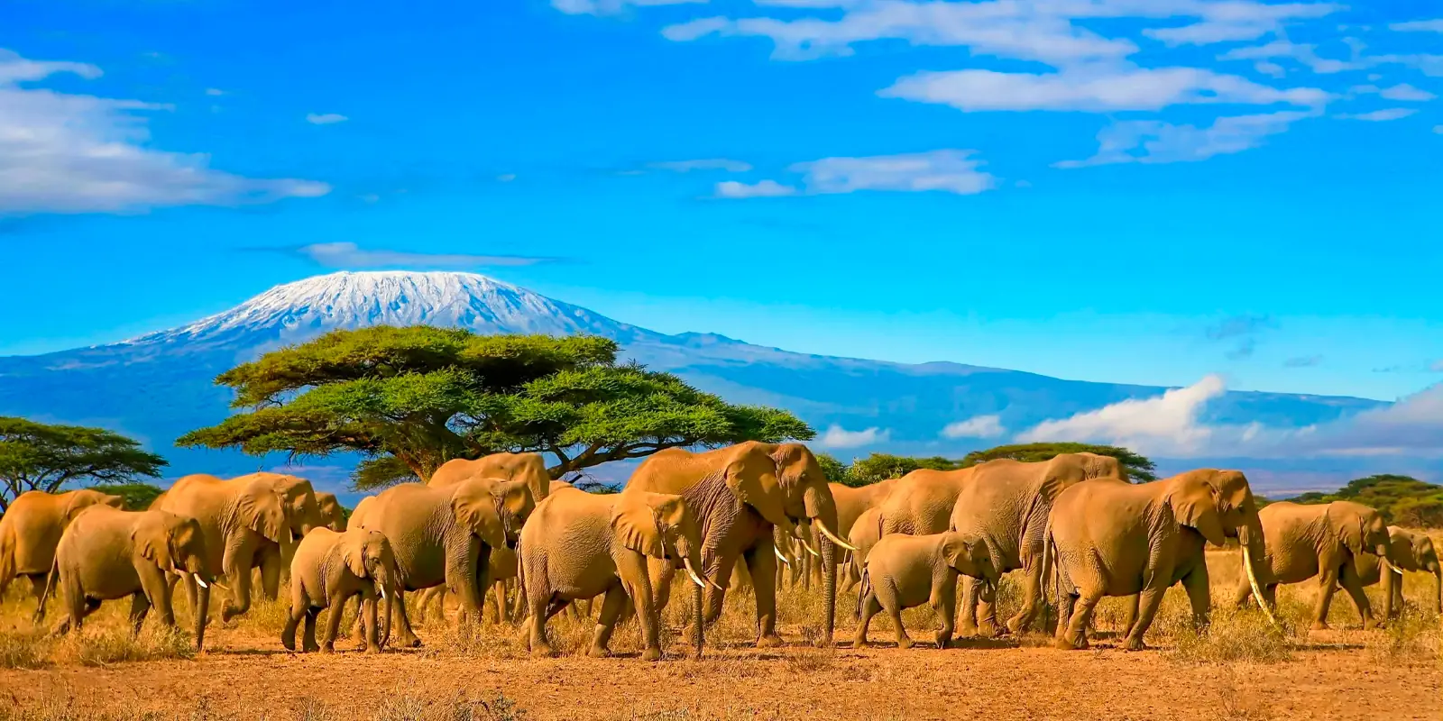 Viajes grupales a Kenia