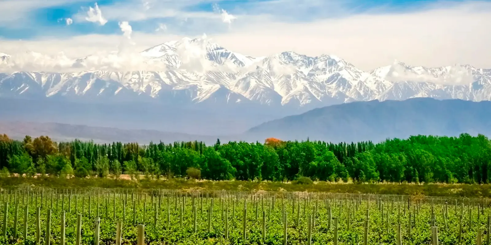 Viajes grupales a Mendoza