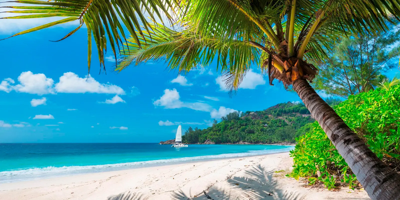 Viajes grupales a Negril