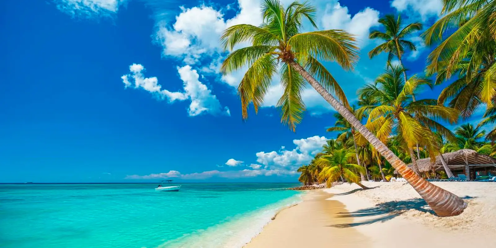 Viajes grupales a Punta Cana