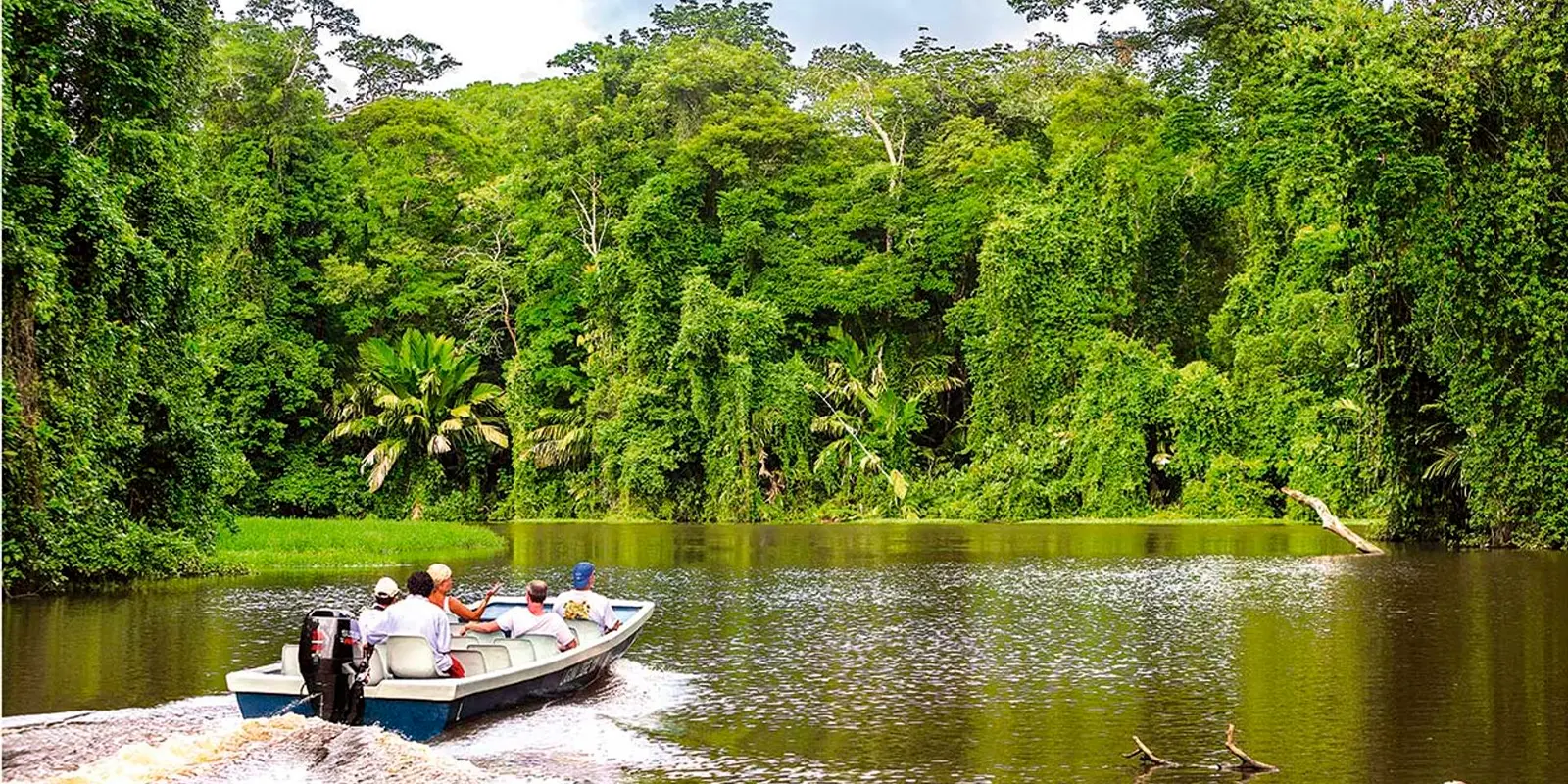 Viajes grupales a Tortuguero